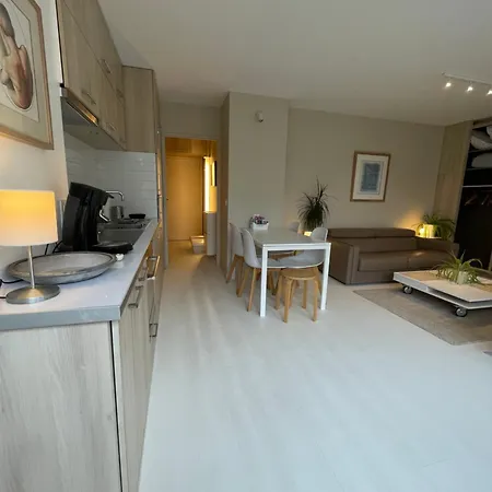 Appartement ,Superbe Terrasse 40M2 , Vieux Lille , Centre Ville Buitenkant foto