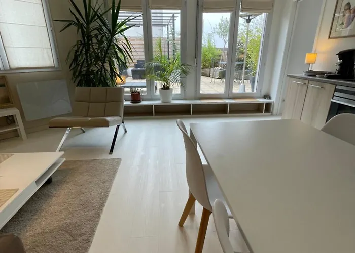 Appartement ,Superbe Terrasse 40M2 , Vieux Lille , Centre Ville